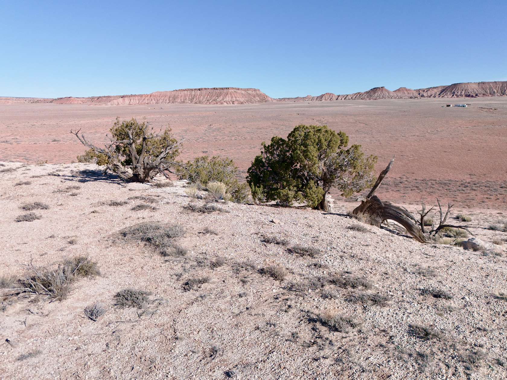 37 Acres of Recreational Land for Sale in St. Johns, Arizona