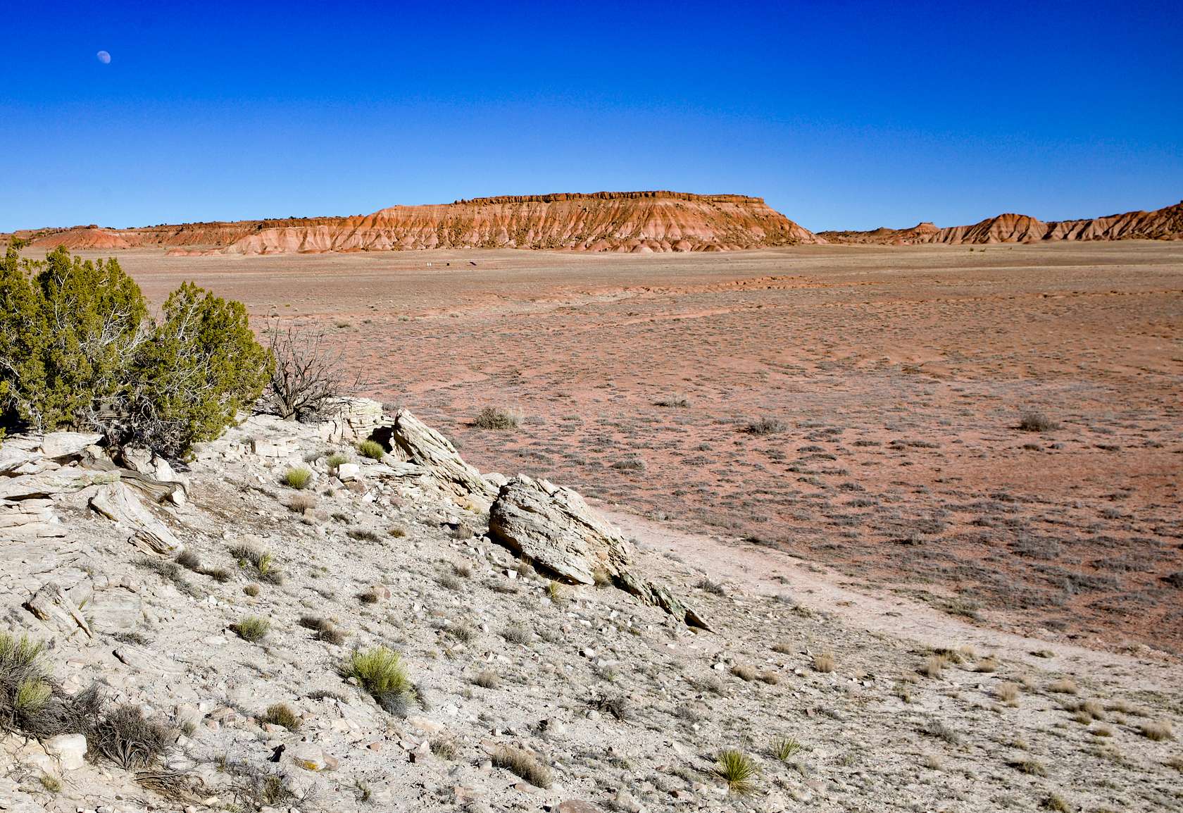 37 Acres of Recreational & Residential Land for Sale in St. Johns, Arizona