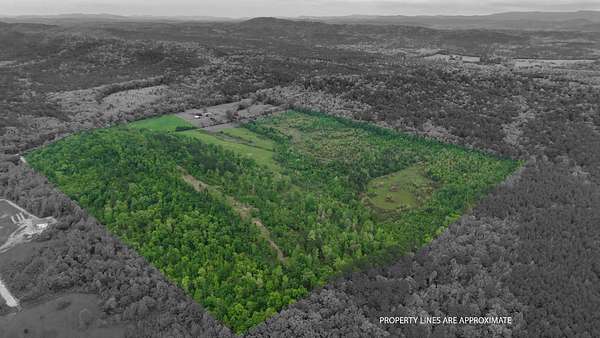 100 Acres of Land for Sale in Oden, Arkansas