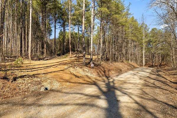 24.2 Acres of Land for Sale in Chatsworth, Georgia