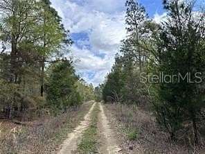 0.23 Acres of Residential Land for Sale in Williston, Florida