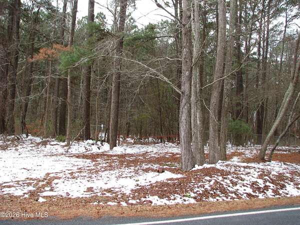 34.2 Acres of Recreational Land for Sale in Plymouth, North Carolina
