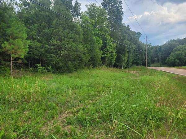 51.8 Acres of Land for Sale in Clifton, Tennessee