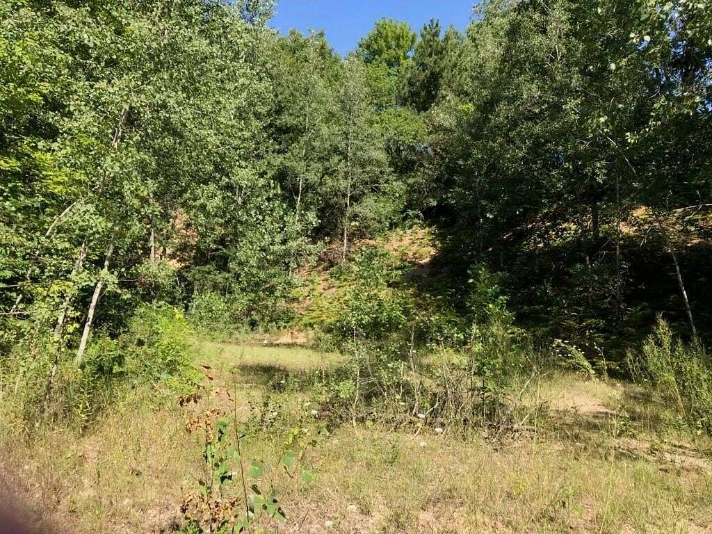 0.89 Acres of Land for Sale in Hesperia, Michigan