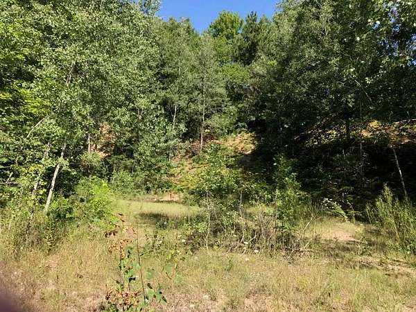 0.89 Acres of Land for Sale in Hesperia, Michigan