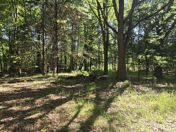 0.75 Acres of Residential Land for Sale in Pentwater, Michigan