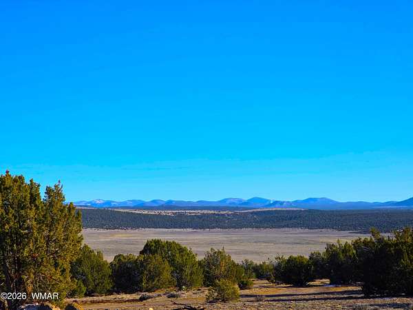 5 Acres of Residential Land for Sale in Show Low, Arizona