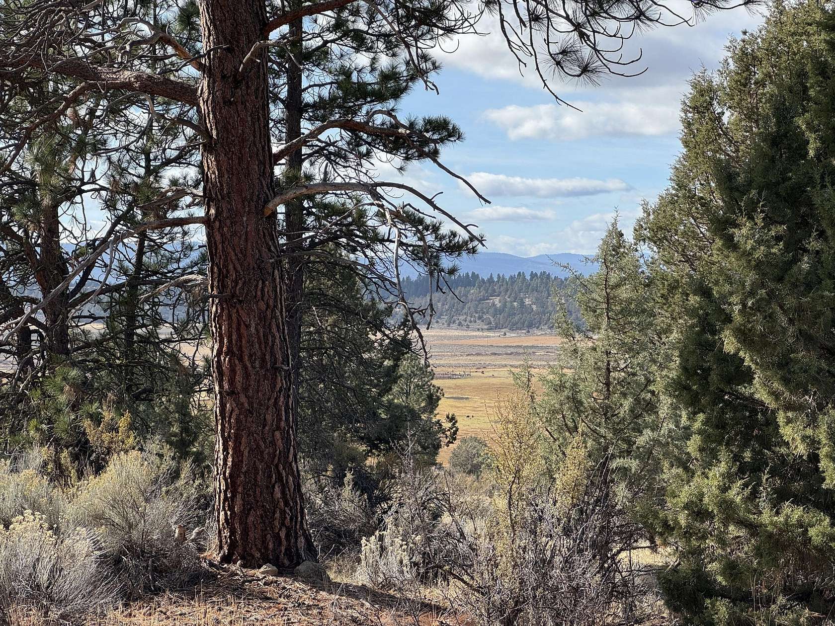 1.48 Acres of Residential Land for Sale in Beatty, Oregon