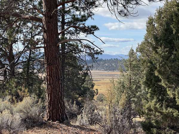 1.48 Acres of Residential Land for Sale in Beatty, Oregon