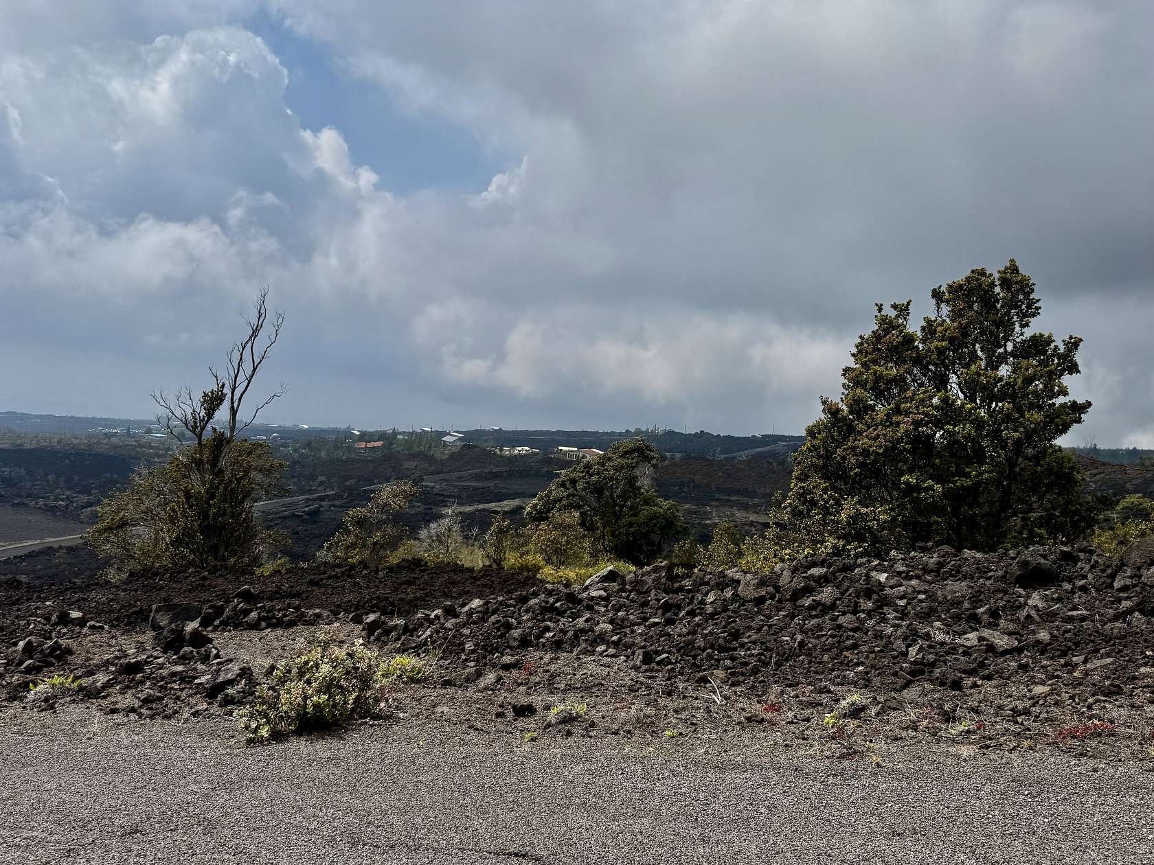 1 Acre of Land for Sale in Hawaiian Ocean View, Hawaii