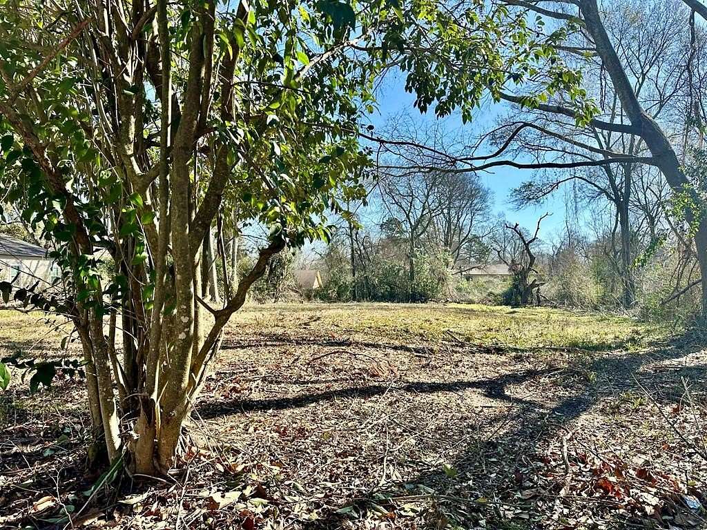 0.4 Acres of Land for Sale in Center, Texas