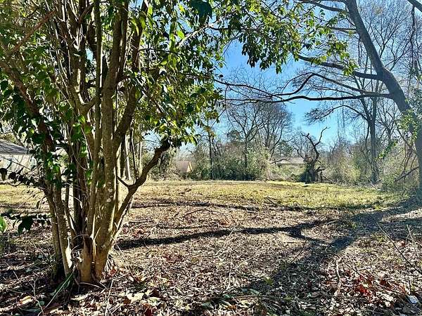 0.4 Acres of Land for Sale in Center, Texas