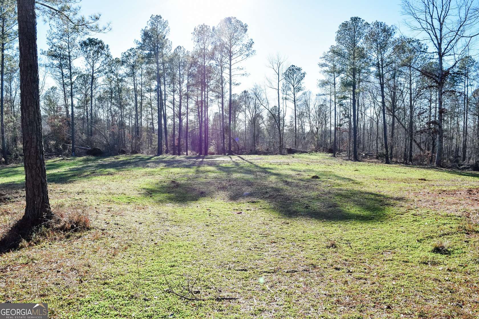 207 Acres of Recreational Land for Sale in Mansfield, Georgia