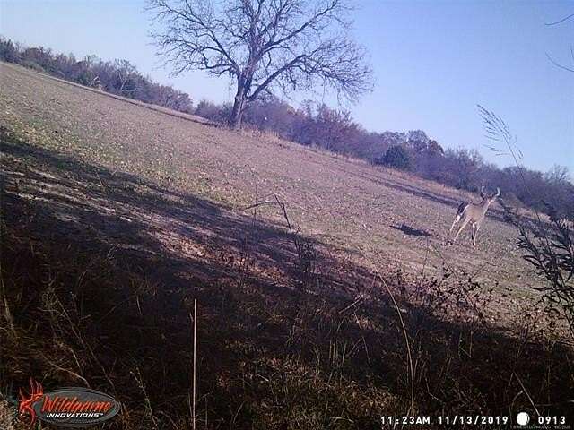 320 Acres of Land for Sale in Wetumka, Oklahoma