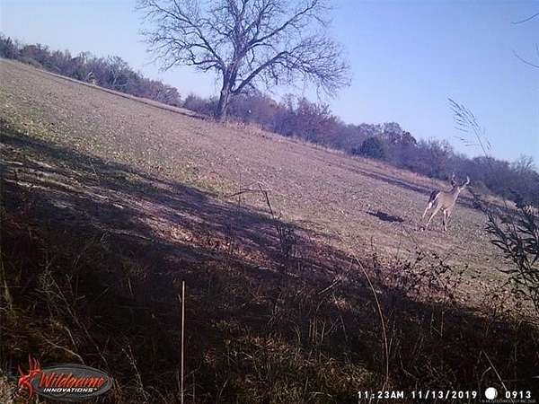 320 Acres of Land for Sale in Wetumka, Oklahoma