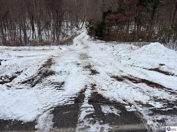 29.5 Acres of Recreational Land for Auction in Rhodelia, Kentucky