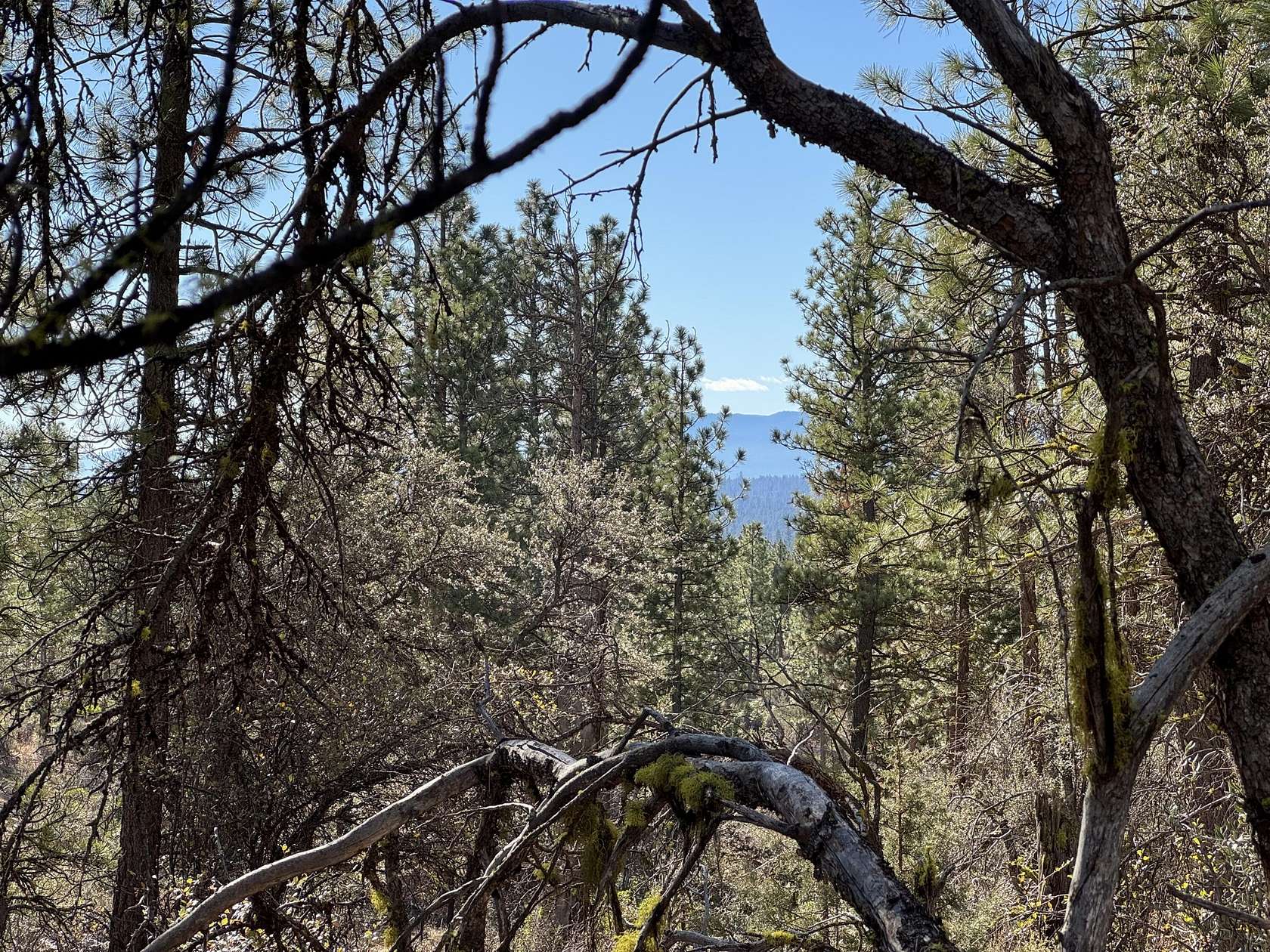 2 Acres of Residential Land for Sale in Bonanza, Oregon