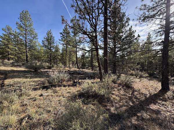 2.42 Acres of Residential Land for Sale in Chiloquin, Oregon
