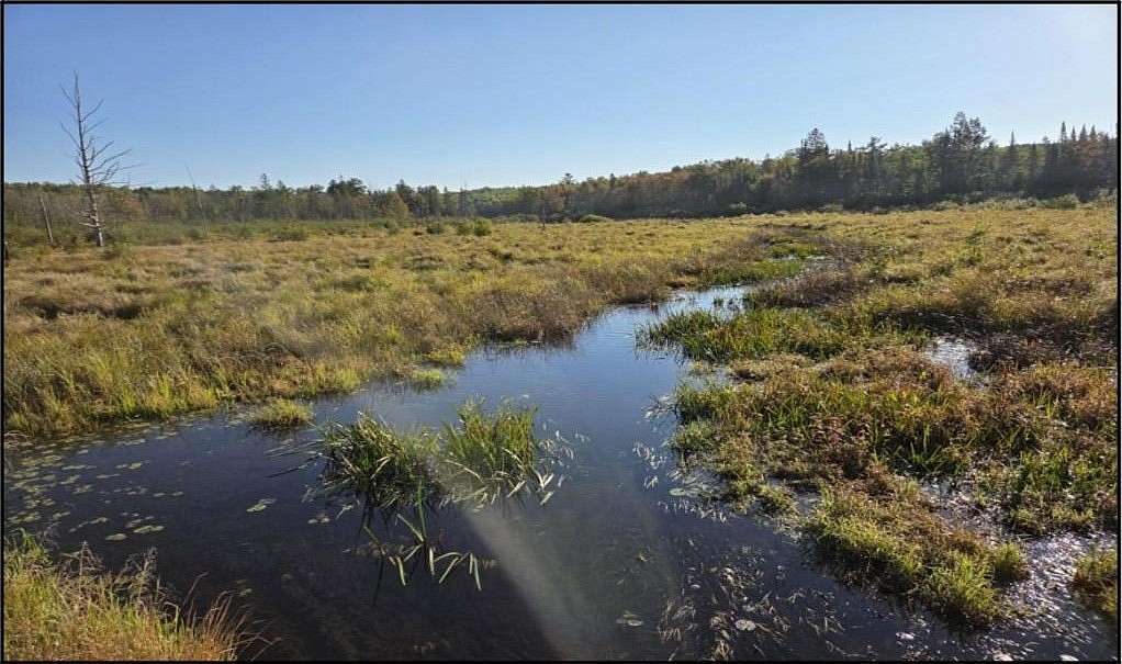 102 Acres of Recreational Land for Sale in Couderay, Wisconsin