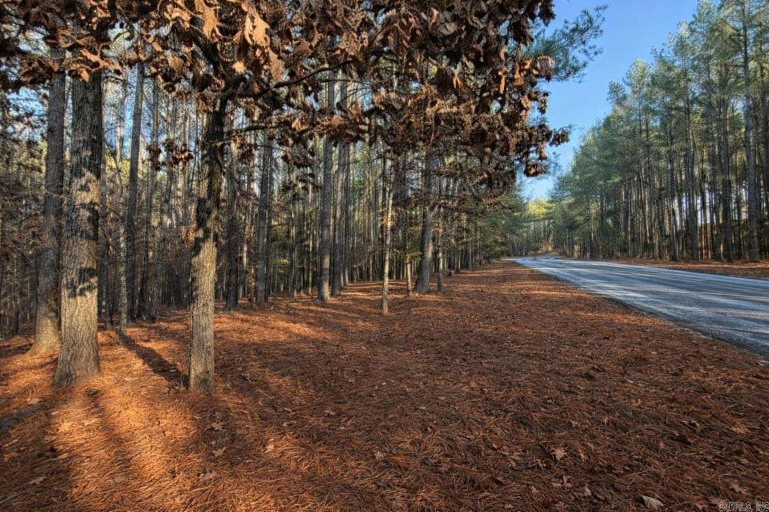 0.4 Acres of Land for Sale in Hot Springs Village, Arkansas