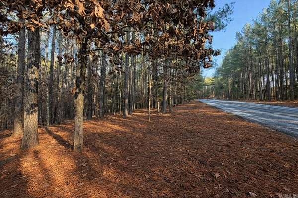 0.4 Acres of Land for Sale in Hot Springs Village, Arkansas