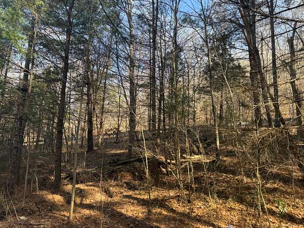 26.9 Acres of Recreational Land & Farm for Sale in Yosemite, Kentucky