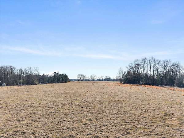 5 Acres of Residential Land for Sale in Naples, Texas