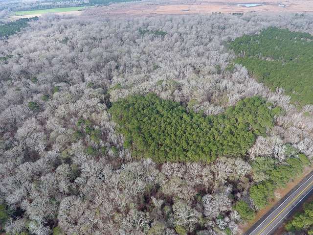 117 Acres of Land for Sale in Bayou Chicot, Louisiana