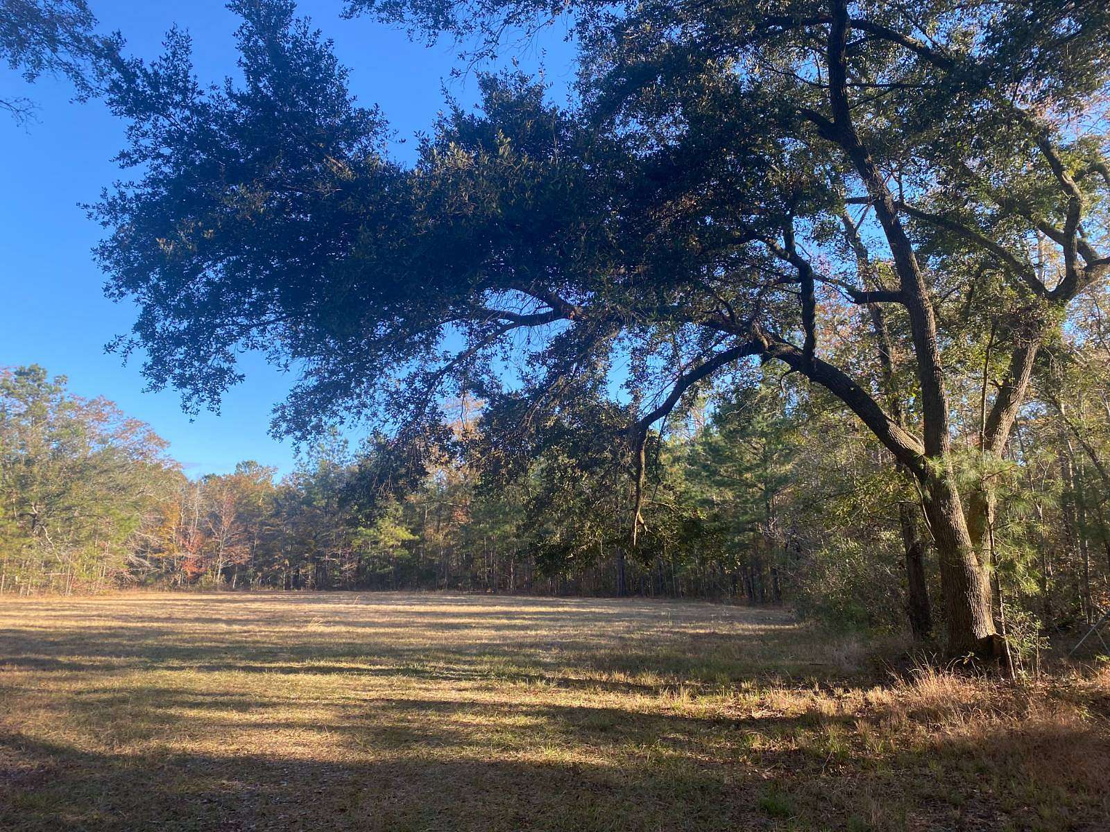 Land for Sale in Varnville, South Carolina