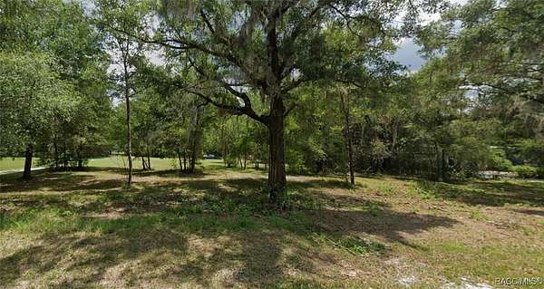 1 Acre of Commercial Land for Sale in Hernando, Florida
