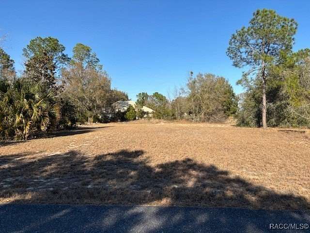 0.23 Acres of Residential Land for Sale in Lecanto, Florida