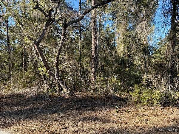 0.44 Acres of Residential Land for Sale in Inverness, Florida
