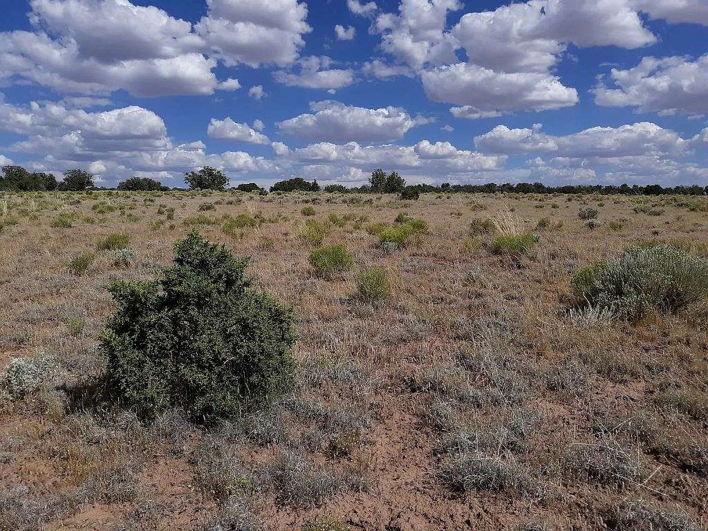 1 Acre of Residential Land for Sale in Chambers, Arizona