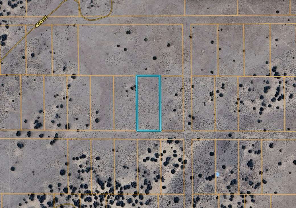 1 Acre of Residential Land for Sale in Chambers, Arizona