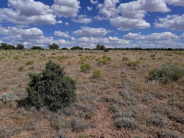 1 Acre of Residential Land for Sale in Chambers, Arizona