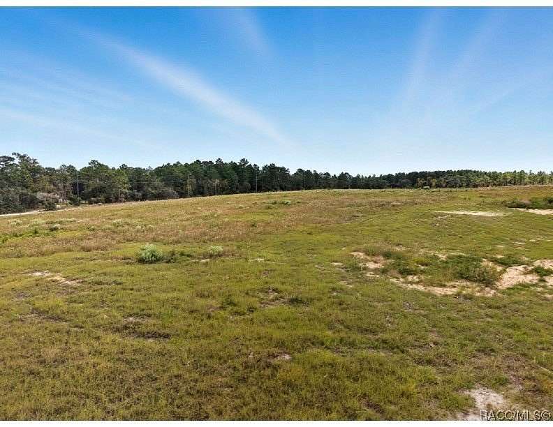 2 Acres of Land for Sale in Dunnellon, Florida