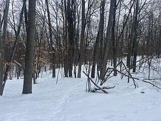0.5 Acres of Land for Sale in Canadian Lakes, Michigan