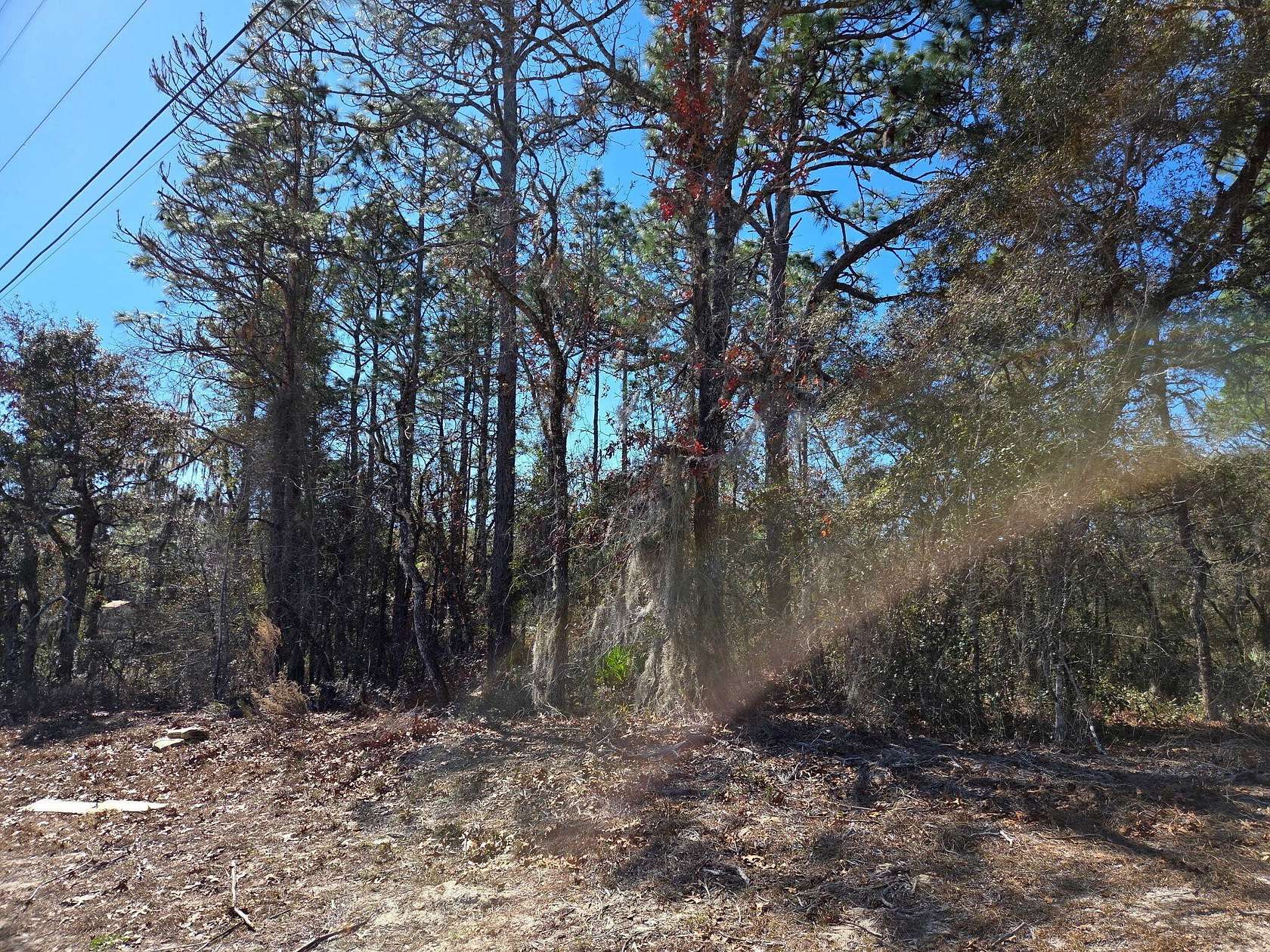 Residential Land for Sale in Marion Oaks, Florida