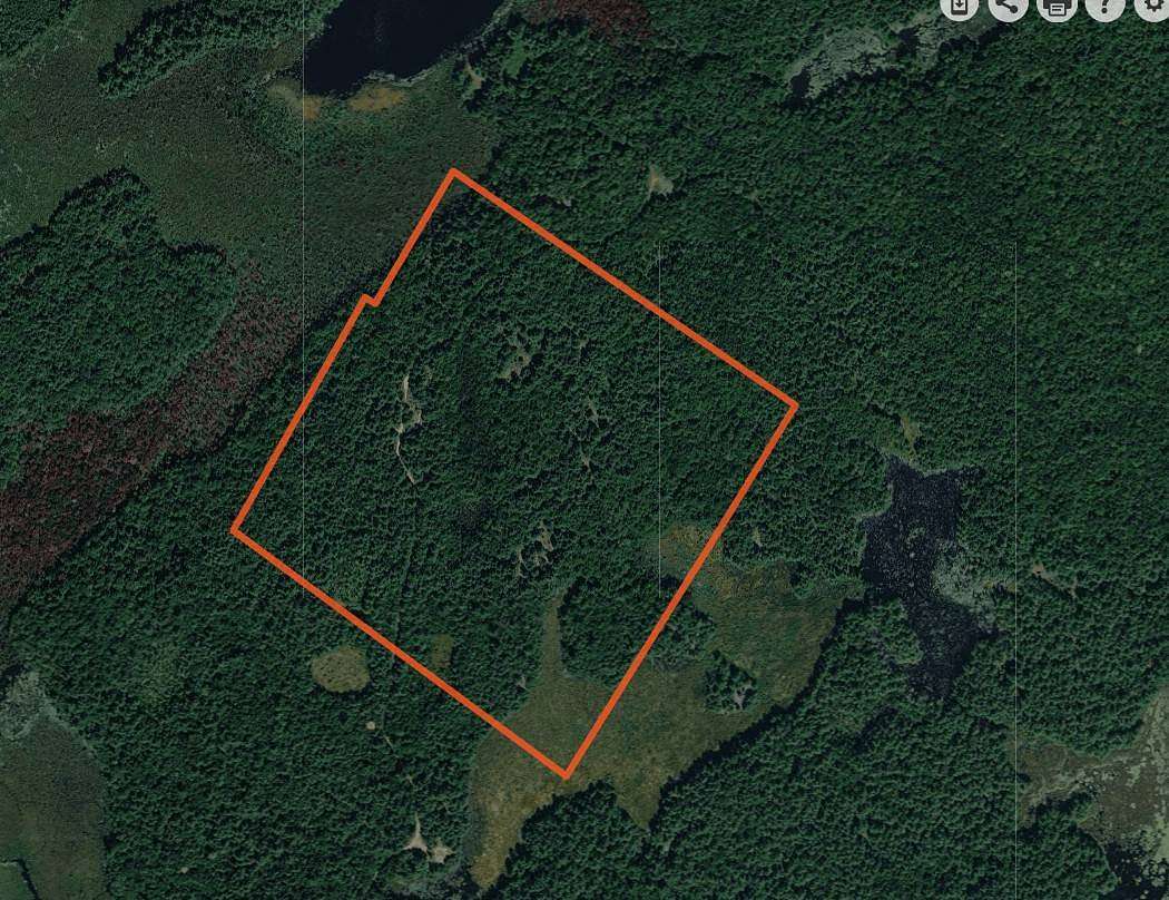 67 Acres of Recreational Land for Sale in Diana Town, New York
