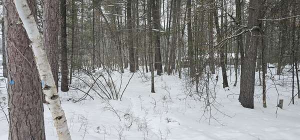 0.38 Acres of Land for Sale in Roscommon, Michigan