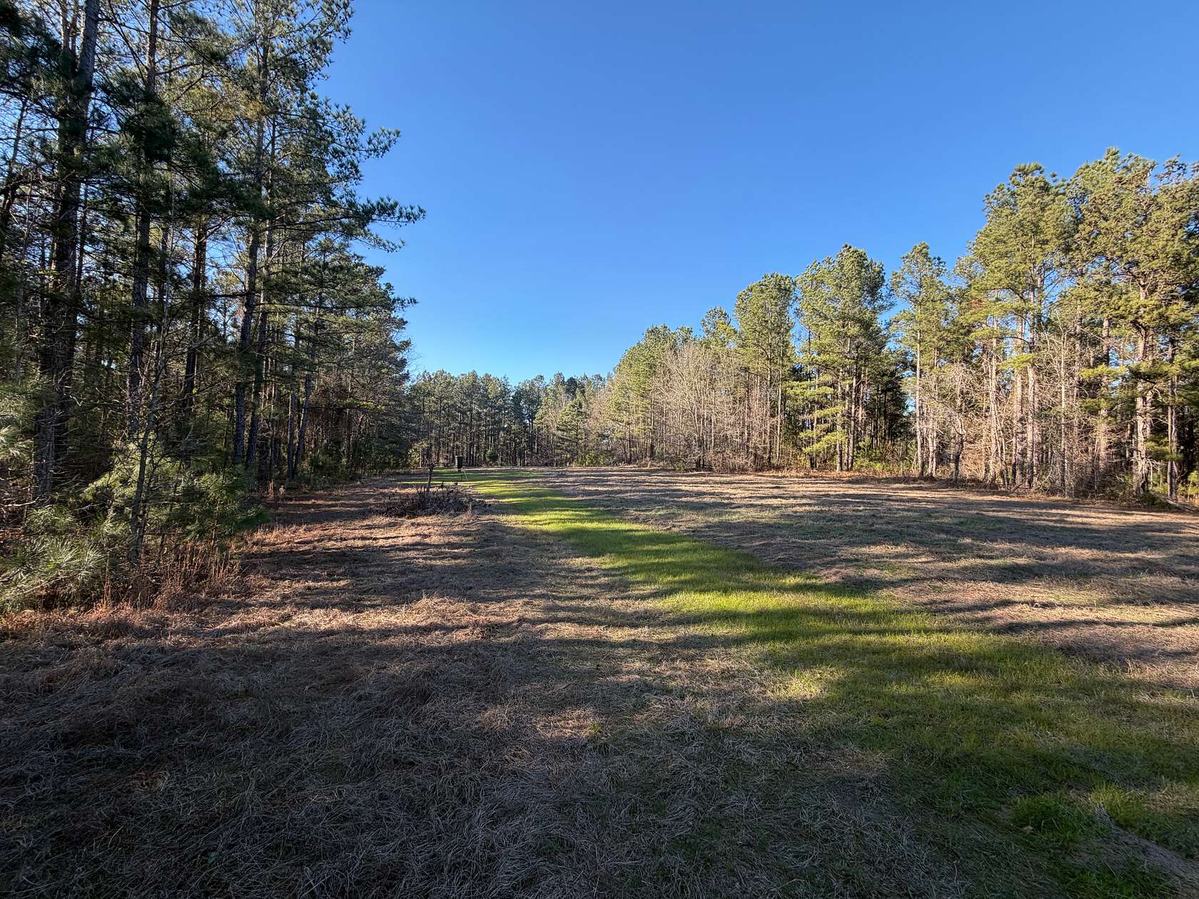 51 Acres of Recreational Land for Sale in Haddock, Georgia
