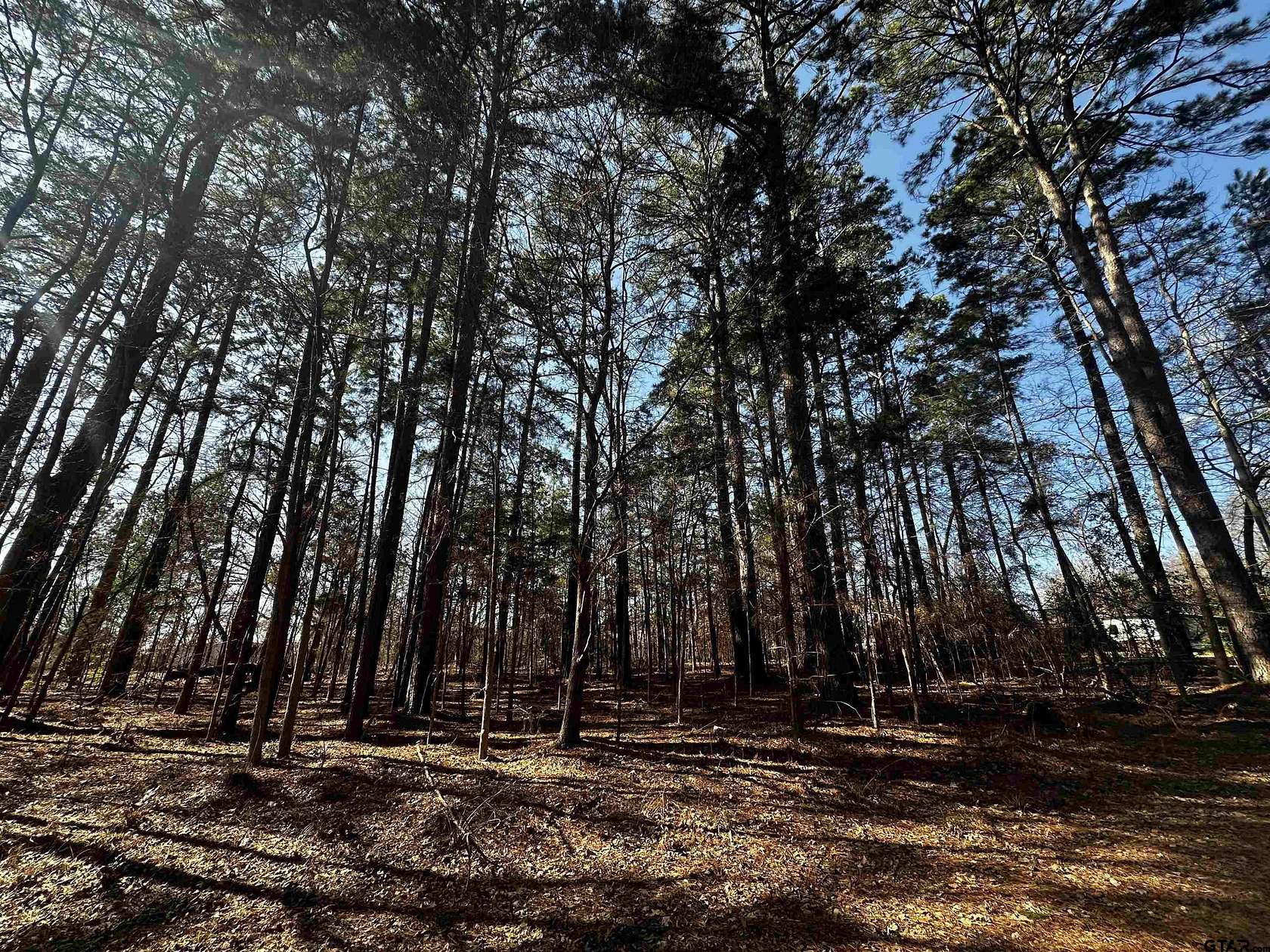 0.35 Acres of Land for Sale in Bullard, Texas