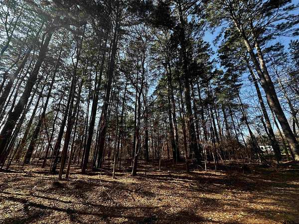 0.35 Acres of Residential Land for Sale in Bullard, Texas