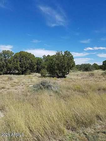 0.42 Acres of Residential Land for Sale in Show Low, Arizona