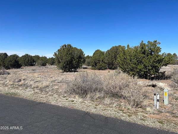 0.42 Acres of Residential Land for Sale in Show Low, Arizona