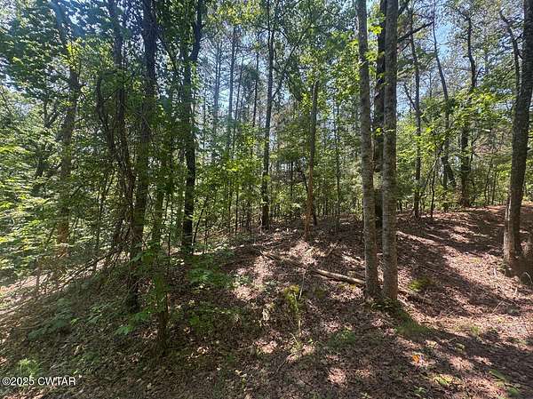 Land for Sale in Middleton, Tennessee