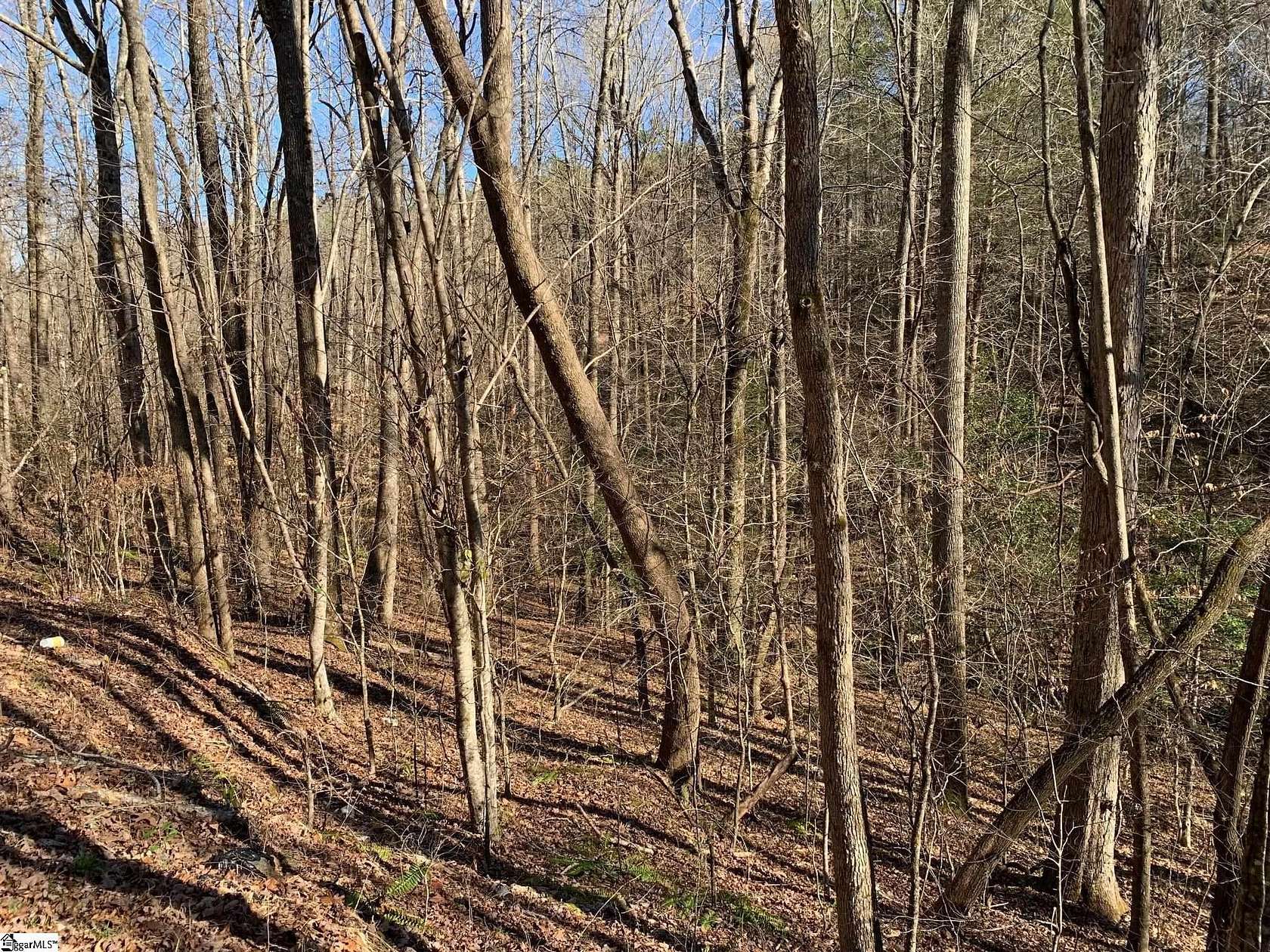 5 Acres of Residential Land for Sale in Marietta, South Carolina