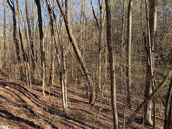 5 Acres of Residential Land for Sale in Marietta, South Carolina