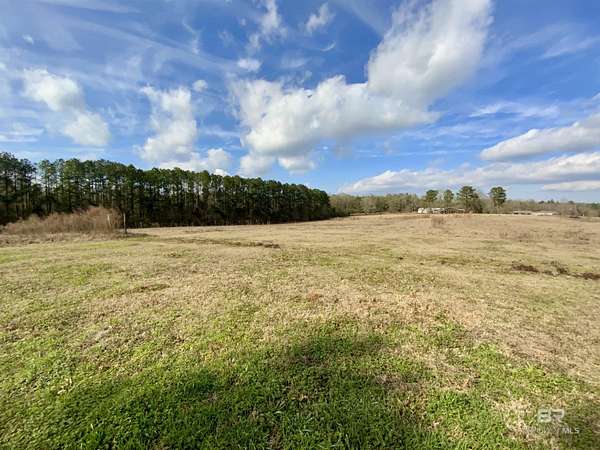 17 Acres of Land for Sale in Perdido, Alabama