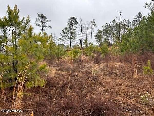 0.41 Acres of Residential Land for Sale in Macon, Georgia